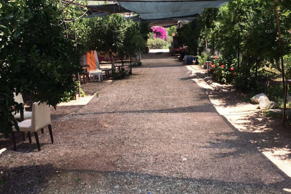 Adrasan Kız Kalesi Camping-1