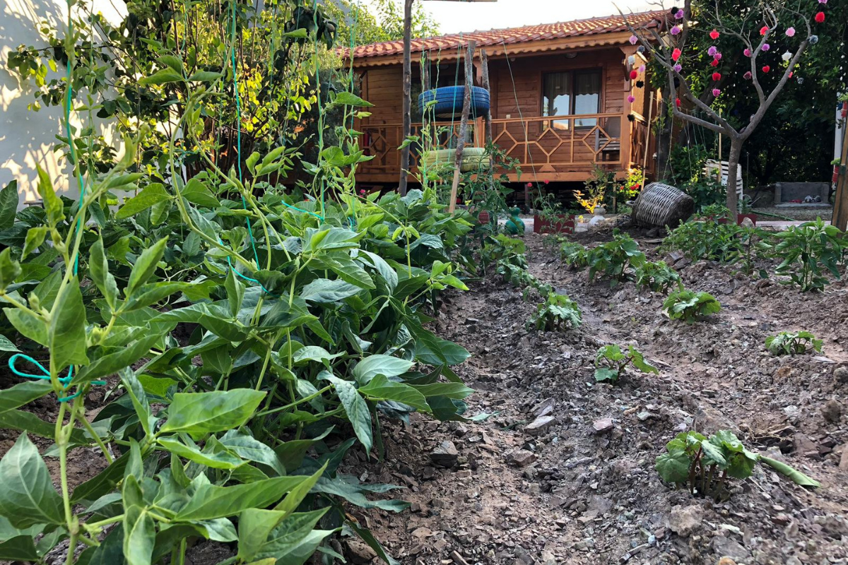 Adrasan Home Apart-2