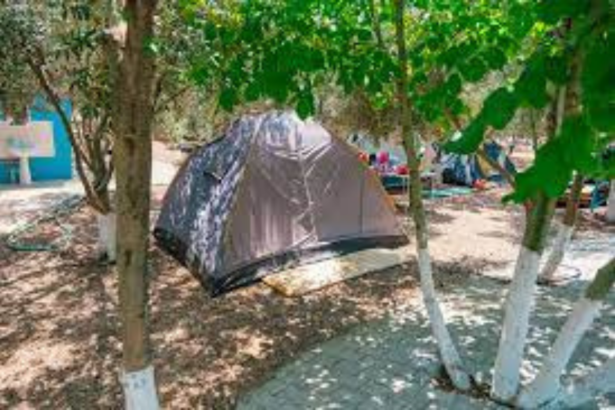 Adrasan Zeytin Camping-2