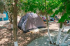 Adrasan Zeytin Camping-2