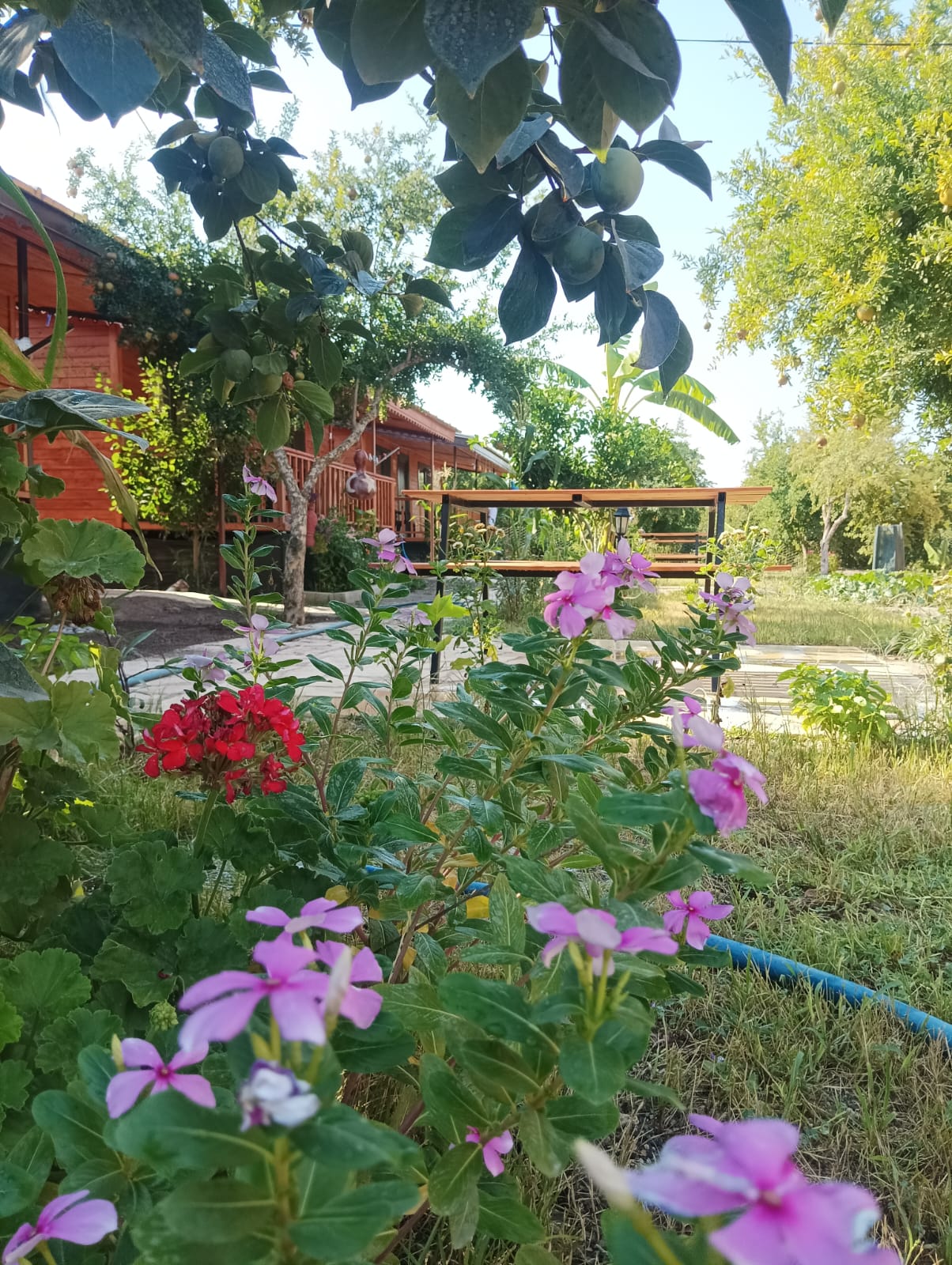 Adrasan Yasemin Apart resmi