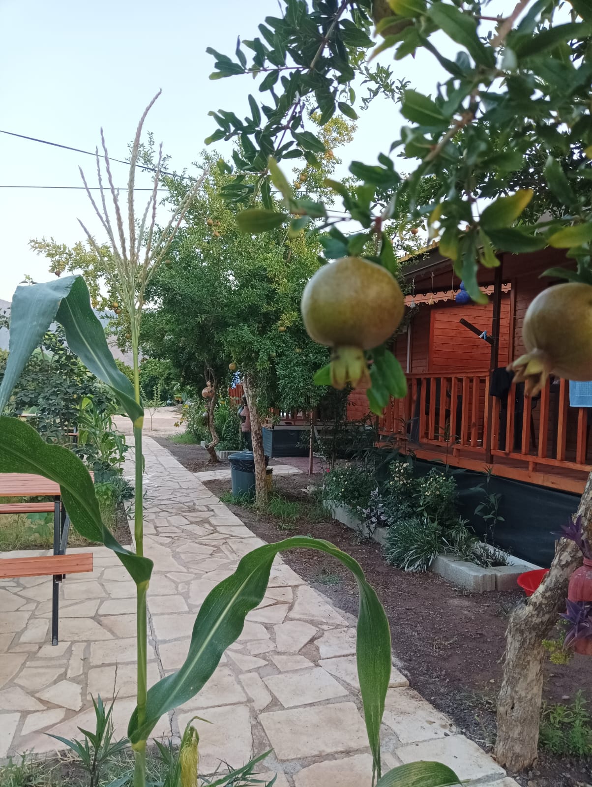 Adrasan Yasemin Apart resmi