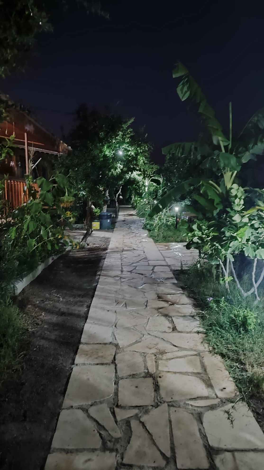 Adrasan Yasemin Apart resmi