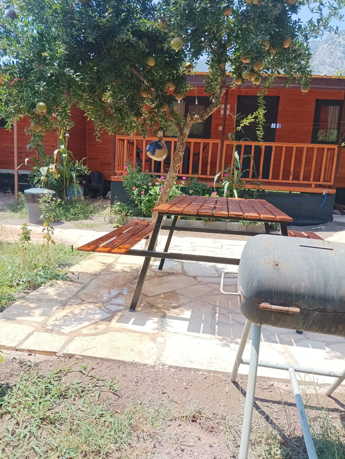 Adrasan Yasemin Apart resmi